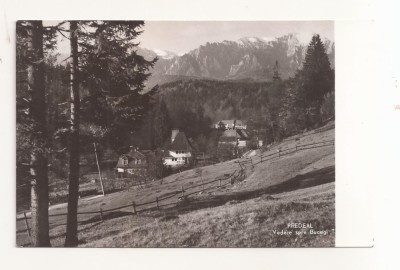 RF71 -Carte Postala- Predeal , vedere spre Bucegi , circulata foto