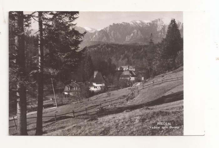 RF71 -Carte Postala- Predeal , vedere spre Bucegi , circulata