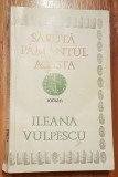 Saruta pamantul acesta de Ileana Vulpescu