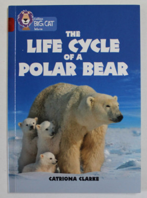 THE LIFE CYCLE OF A POLAR BEAR by CATRIONA CLARKE , 2017 foto