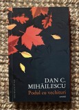 Dan C. Mihailescu - Podul cu vechituri Cronici