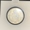 Moneda 100 lei 1936