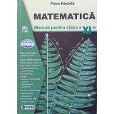 MATEMATICA. MANUAL PENTRU CLASA A XI-A M2-PETRE NACHILA-251416