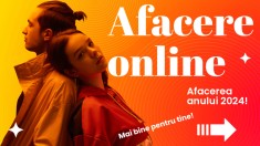 Afacere online in franciza foto