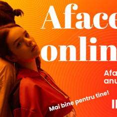 Afacere online in franciză