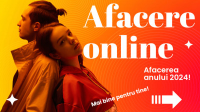 Afacere online in franciză foto