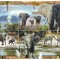 GABON 2022 - Fauna, Elefanti / set complet colita + bloc