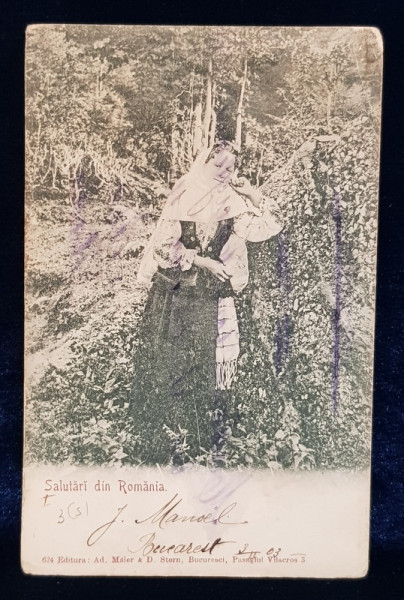 FEMEIE CU NAFRAMA , PORT POPULAR , CARTE POSTALA ILUSTRATA , CLASICA