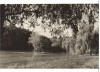 CPIB 22772 - CARTE POSTALA - SIBIU. VEDERE DIN DUMBRAVA, Circulata, Fotografie