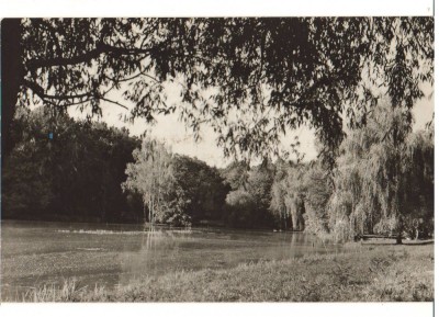 CPIB 22772 - CARTE POSTALA - SIBIU. VEDERE DIN DUMBRAVA foto