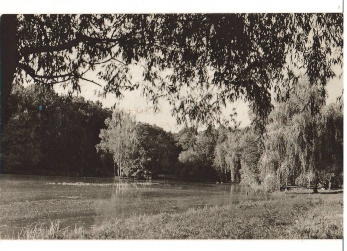CPIB 22772 - CARTE POSTALA - SIBIU. VEDERE DIN DUMBRAVA