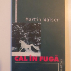 CAL IN FUGA de MARTIN WALSER 2004
