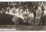 CPIB 22185 - CARTE POSTALA - SIBIU. VEDERE DIN DUMBRAVA
