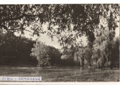 CPIB 22185 - CARTE POSTALA - SIBIU. VEDERE DIN DUMBRAVA foto