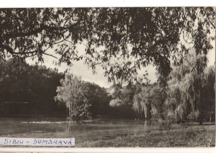 CPIB 22185 - CARTE POSTALA - SIBIU. VEDERE DIN DUMBRAVA