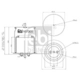 Febi Bilstein Burduf, suspensie pneumatica