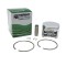 Piston complet drujba compatibil Stihl MS661 Meteor &Oslash; 56mm