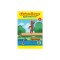 Curious George Gymnastics Fun (Cgtv Reader)