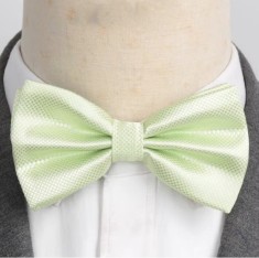 Papion pentru barbati, PP055, Verde deschis