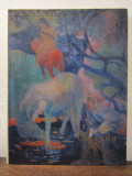 Gauguin - Nina Stănculescu-Zamfirescu