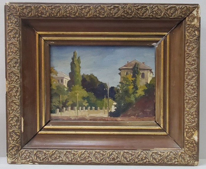 Grig Florescu (?) - Cotroceni