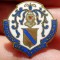 I.022 INSIGNA MILITARA ITALIA BUTONIERA REVER Istituto Nastro Azzurro