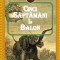 Cinci saptamani in balon - Jules Verne