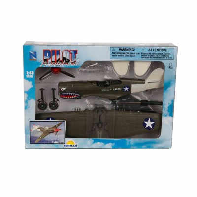 Avion de lupta cu pilot, New Ray, P-40, 1:48 foto