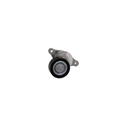 Intinzator curea CITROEN C5 III Break TD DAYCO APV3190 foto