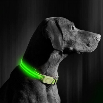 Zgardă LED cu baterie - marimea S - verde foto