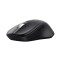 Mouse WS Trust Ferro Hyperscroll, negru
