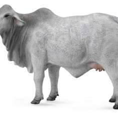 Figurina Vaca Brahman L Collecta