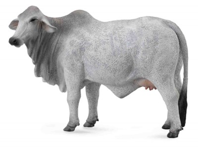 Figurina Vaca Brahman L Collecta foto