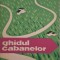 Ghidul cabanelor