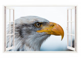 Sticker decorativ, Fereastra 3D, Vultur, 85 cm, 275STK