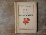 CAI DE APOCALIPS de RADU BOUREANU