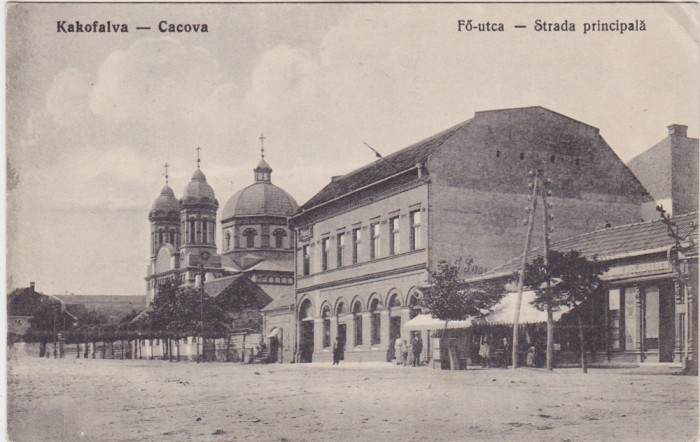 CP Kakofalva Cacova Gradinari Strada Principala ND