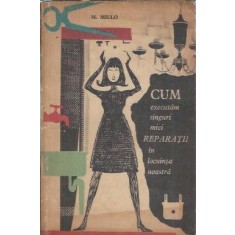 Cum executam singuri mici reparatii in locuinta noastra - M. Millo