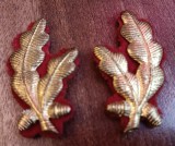 C7 16 - petlite militare - laur mic auriu - rosu infanterie - piesa colectie