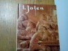 ION JALEA - Petru Comarnescu (text) - Meridiane, 1962, 85 p.; tiraj: 3000 ex.