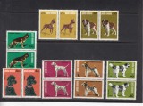 ROMANIA 1981 LP 1024 EXPOZITIA NATIONALA CANINA PERECHE MNH