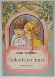 GALAXIA CU MURE de EMILIA CALDARARU , 1990