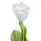 Floare Artificială, Lalea, 50cm, Culoare Albă, Material Plastic