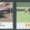 C2202 - Germania RF 1999 - Sport 4v.neuzat,perfecta stare