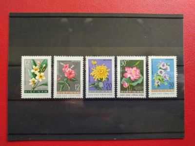 VIETNAM 1 foto