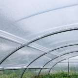 Folie antipicurare 6,5 m , 50 microni - 200 metri