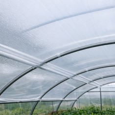 Folie antipicurare 4,5 m , 50 microni