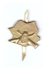 Semn de arma graniceri RSR, auriu, ofiter