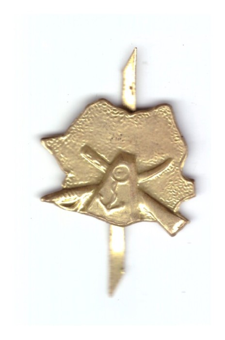 Semn de arma graniceri RSR, auriu, ofiter