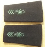 C1 16 - Grade militare - straine - piesa de colectie!